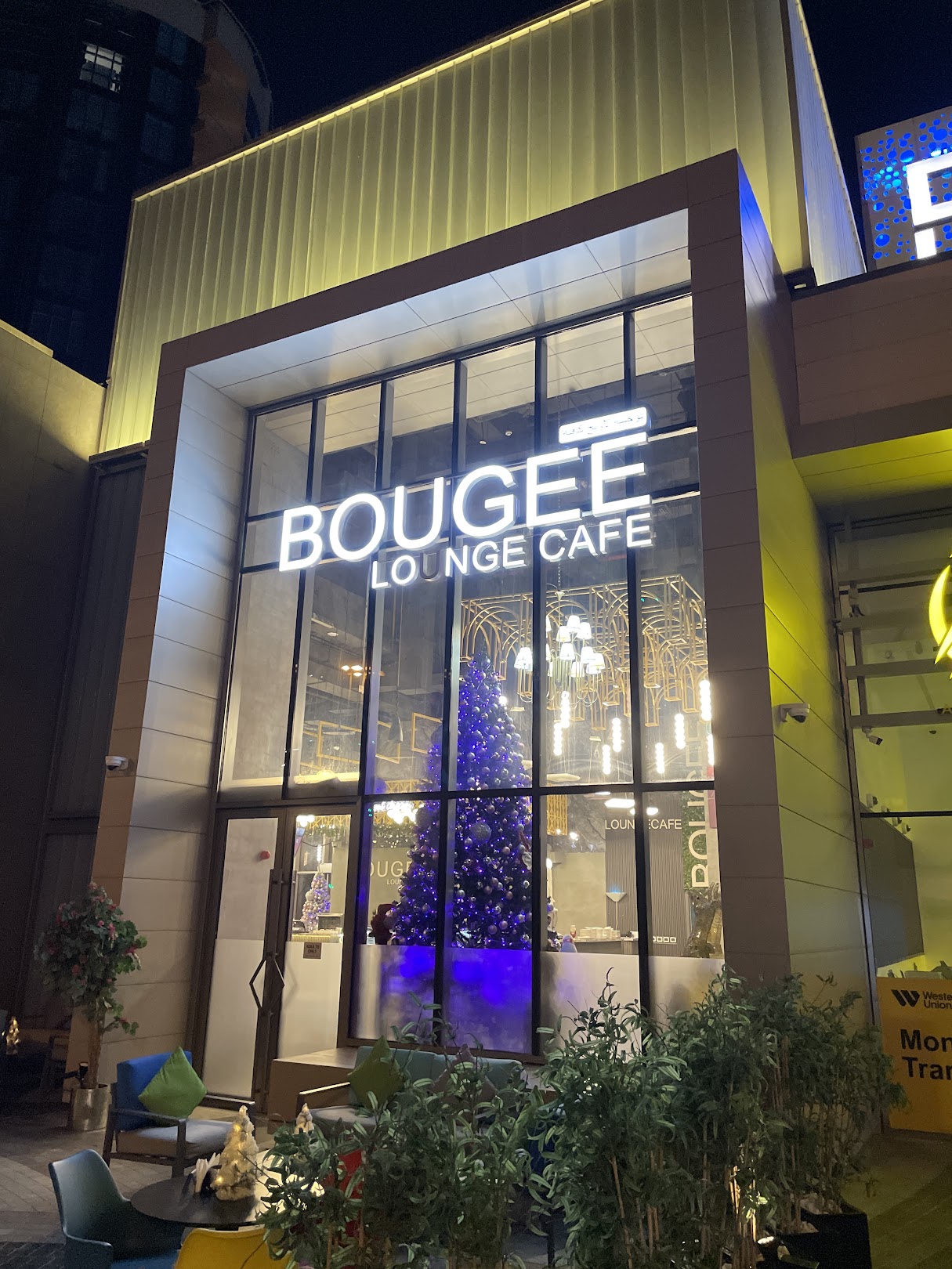 Bougee Lounge Cafe - Cafes And Coffee Shops - Al Barsha 1 - Dubai 