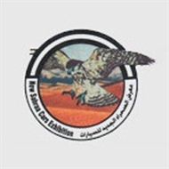 New Al Sahraa Car Exhibition