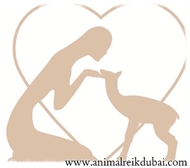 Human and Animal Reiki Dubai