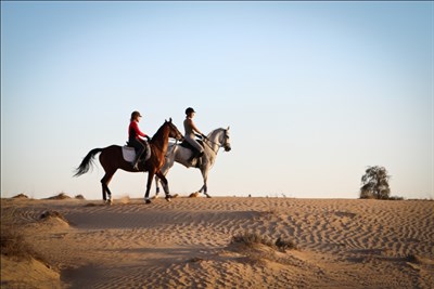 JA Al Sahra Desert Resort