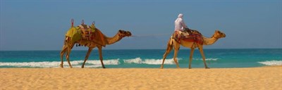 Arabianlink Tours - Dubai