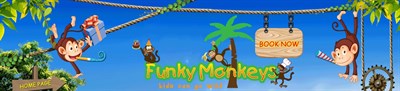 Funky Monkeys Playland