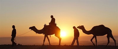 Arabian Dream Tours