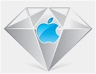 DIAMOND CHIP COMPUTER LLC