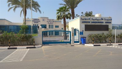 American International School