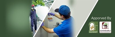 Lamp Pest Control & Cleaning Services