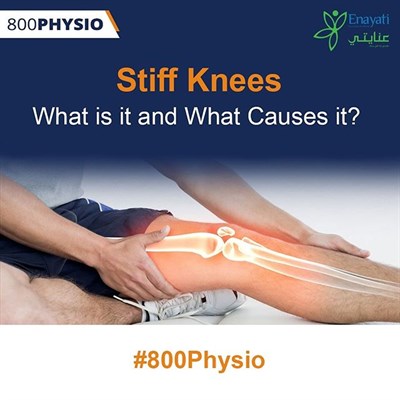 800 Physio