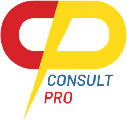 Consult Pro Business setup