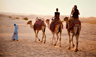 Desert Dreams Tours & Safari 