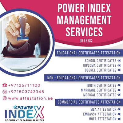 Power Index Management Services LLC