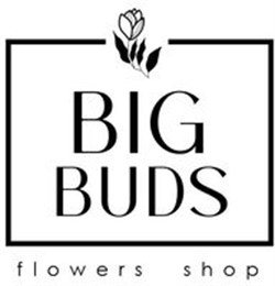 Big Buds Flowers