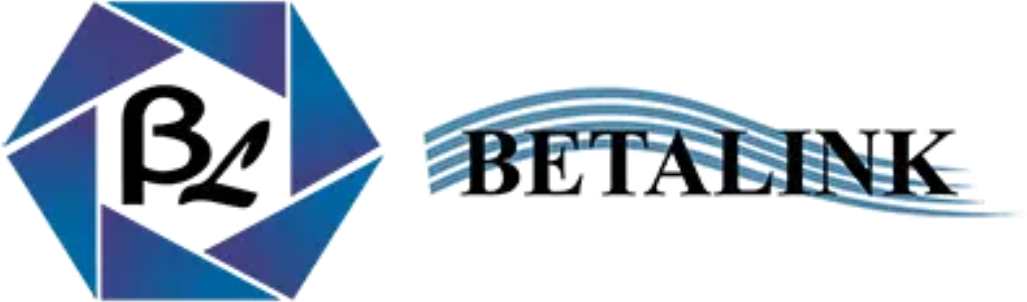 Betalink Instrumetation & Calibration Logo