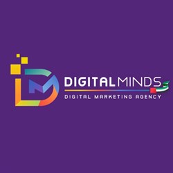 Digital Minds