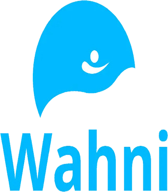 Wahni IT Solutions FZE Logo