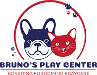 Bruno's Play Center Logo