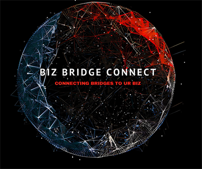 Biz Bridge Connect