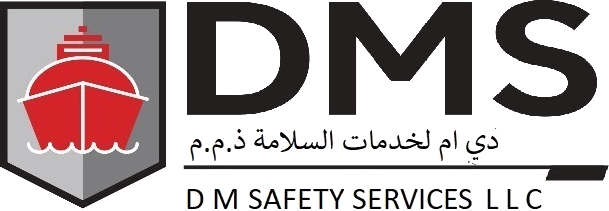 DM Safety Services LLC Logo