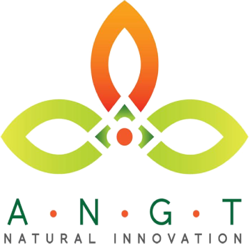 ANGT LLC Logo