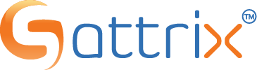 Sattrix Information Security DMCC Logo