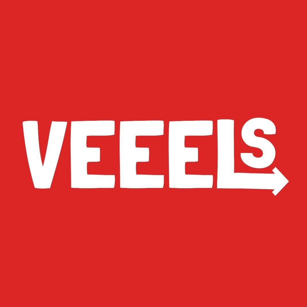 Veels Car Insurance Logo