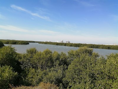 Al Zorah Natural Reserve