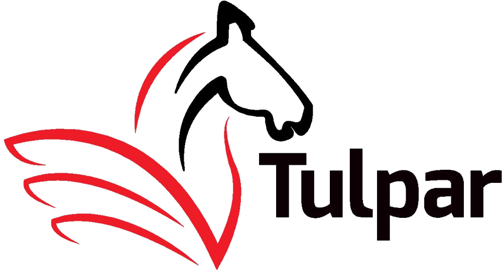 Tulpar Global Taxation Logo