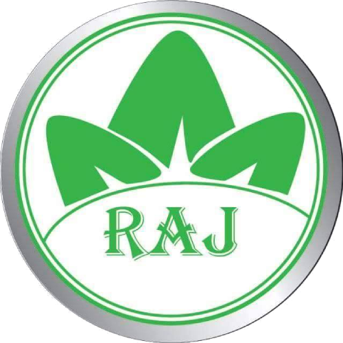 Raj Air Conditioning Systems LLC  Logo