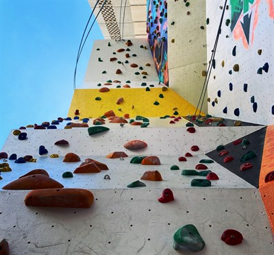 The Wall Climbing Gym