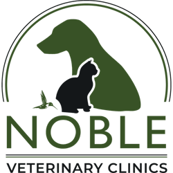 Noble Veterinary Clinic