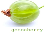 Gooseberry