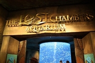 The Lost Chambers Aquarium